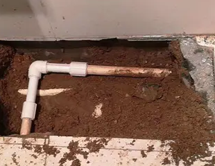 杭锦后旗测漏水哪家好